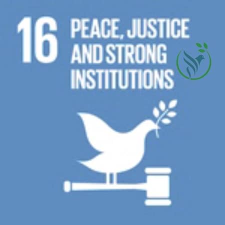 SDG 16 – Peace, justice and strong institutions